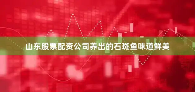 山东股票配资公司养出的石斑鱼味道鲜美