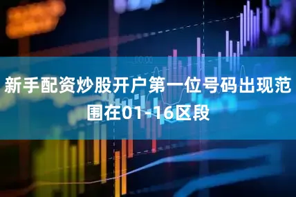 新手配资炒股开户第一位号码出现范围在01-16区段