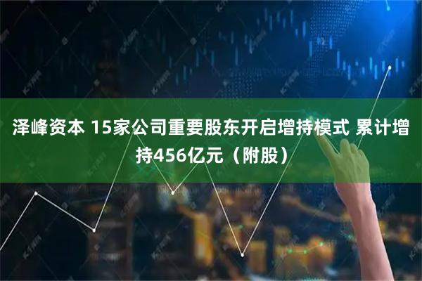 泽峰资本 15家公司重要股东开启增持模式 累计增持456亿元（附股）