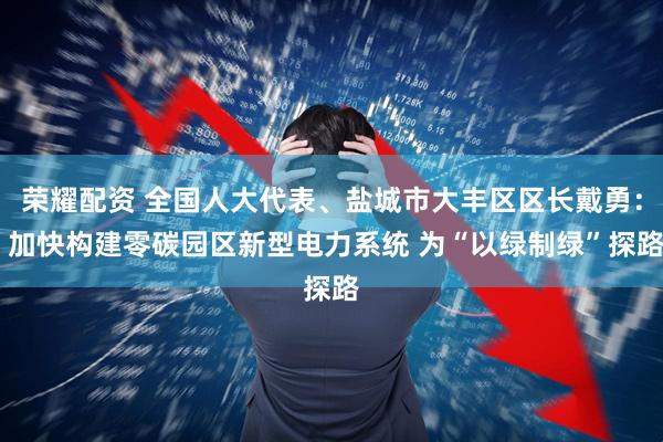荣耀配资 全国人大代表、盐城市大丰区区长戴勇： 加快构建零碳园区新型电力系统 为“以绿制绿”探路