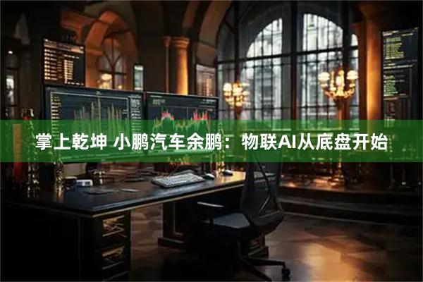 掌上乾坤 小鹏汽车余鹏:物联AI从底盘开始